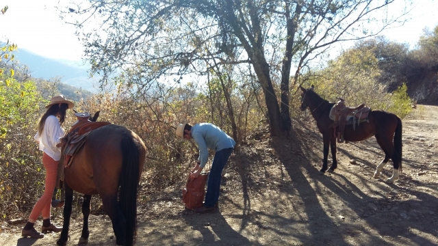 Ven a explorar Oaxaca